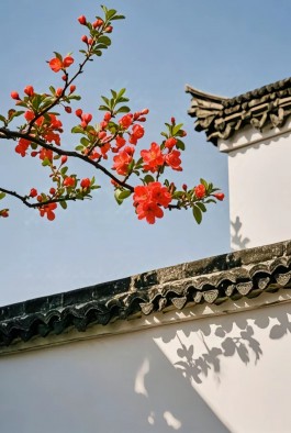 即乐
