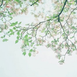 随写