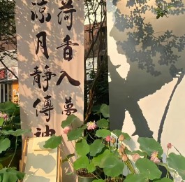 如雪不染尘