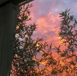 暗夜织光