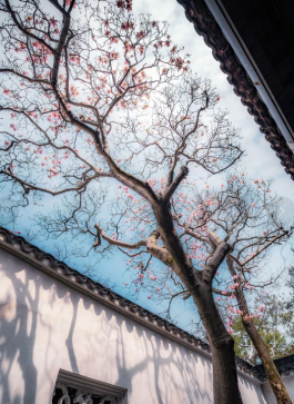 沉默是金