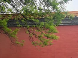 它们清清楚楚，从不跑偏