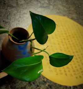 缘起性空