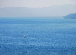 星辰大海