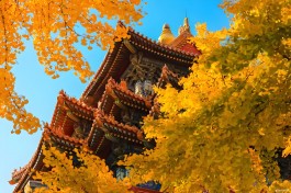 心境