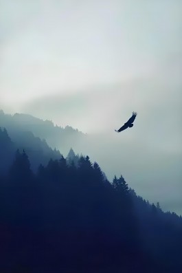 正气