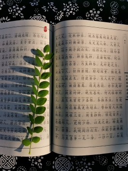 能量