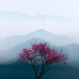 觉知幸福