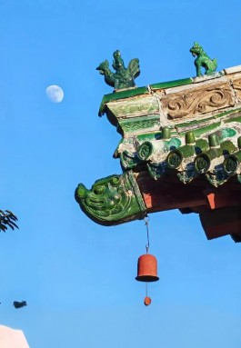 发芽