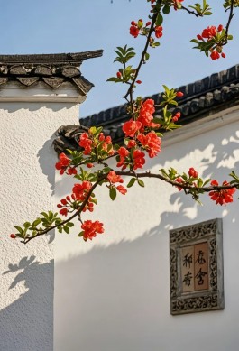 莫念往昔