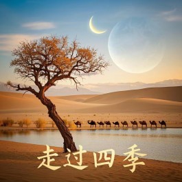 走过四季